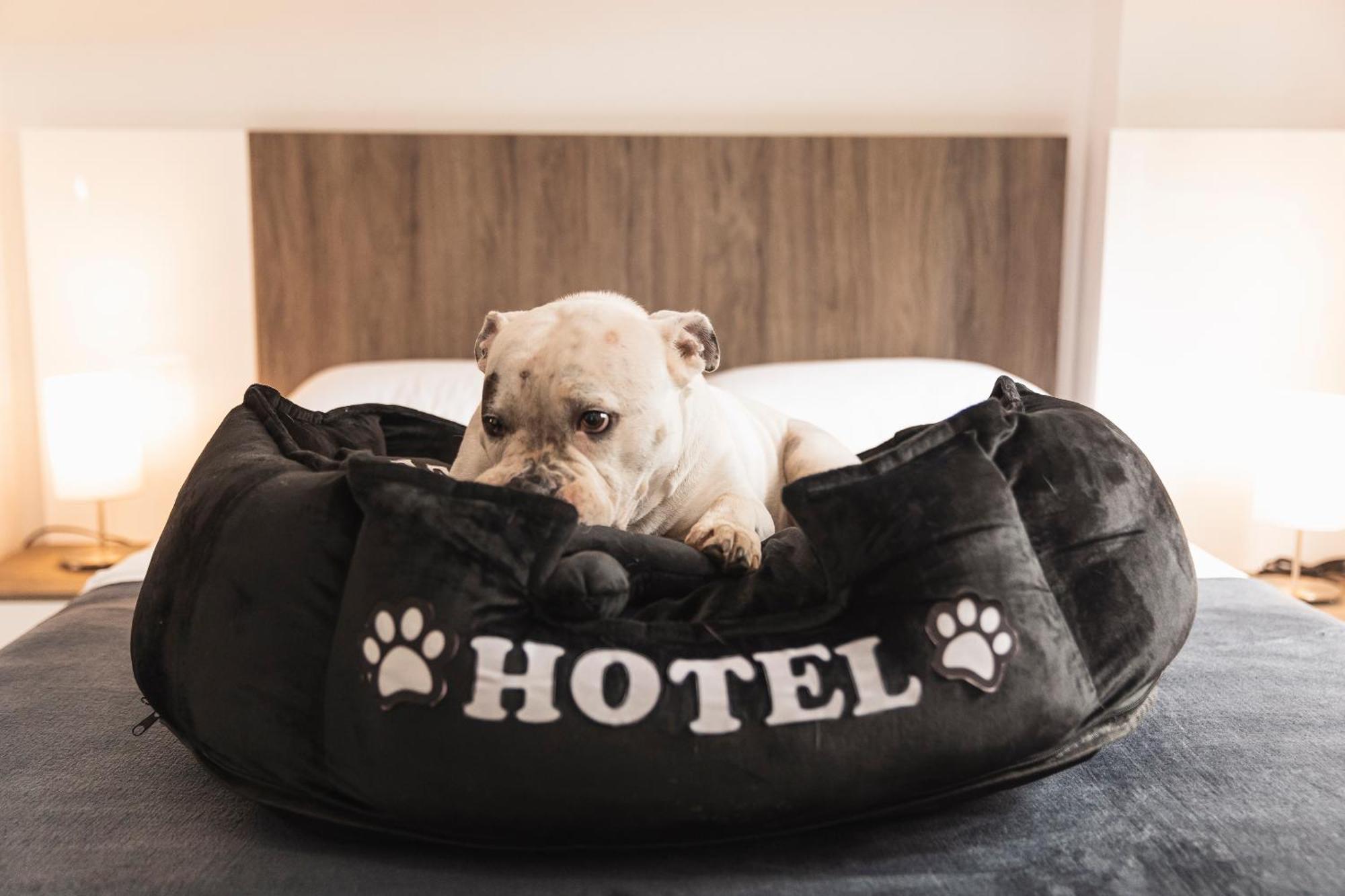 Hotel Boutique Bussines Center Cali Zewnętrze zdjęcie